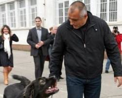 Най-скъпият български кон и кучетата на Б.Борисов на изложения в Пловдив