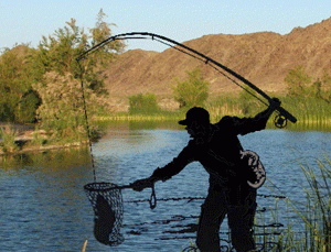 Забраната за риболов във връзка с размножителния период ще започне от 18 април 2011 г.