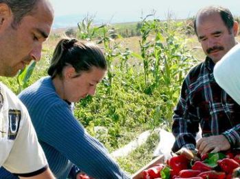 Българо-румънски проект насърчава екологичните продукти
