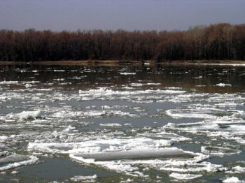 Дунава замръзва до дни, корабоплаването спира   
