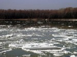     Има голям риск укрепващите диги по река Дунав да се скъсат и да залеят близките райони.