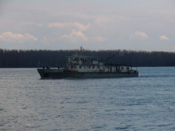 Обозначаването на корабоплавателния път по Дунава от Сомовит до Силистра ще приключи до неделя