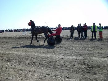Гонки в Сандрово събраха коне от цяла България 