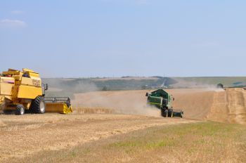 Завърши жътвата на ечемика в Русенско, на пшеницата е към своя край