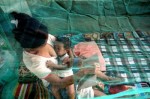 Комарниците са ключът към решаване на проблема със заболеваемостта и смъртта, причинени от малария