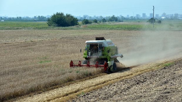 Бензиностанции не приемат фермерските ваучери за евтино гориво