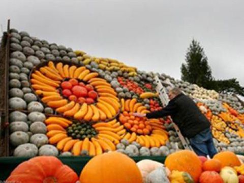 Празникът на тиквата в Севлиево