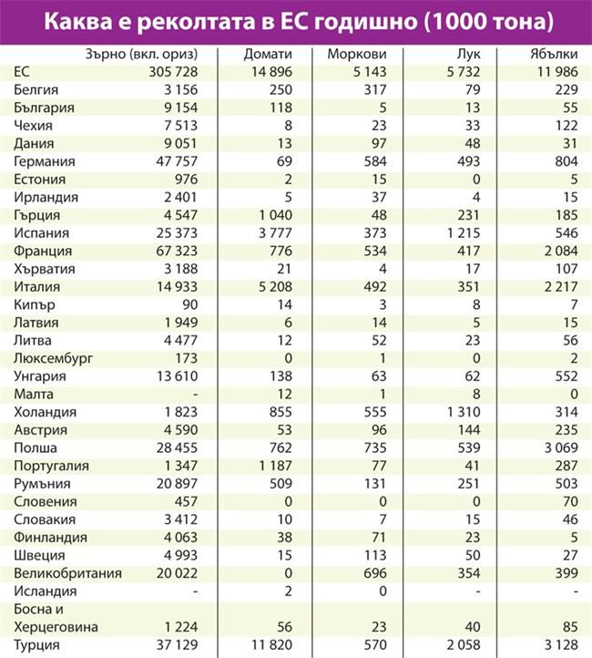 Доматите ни 100 пъти по-малко от турските