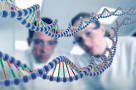 Учени откриха гени, които увеличават продължителността на живота