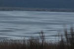  Експертите на РИОСВ – Русе предупреждават гостите в резервата и местните жители да не практикуват риболов върху леда