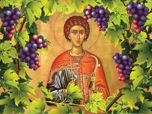 Лозари, производители и ценители на виното днес празнуват Св. Трифон Зарезан