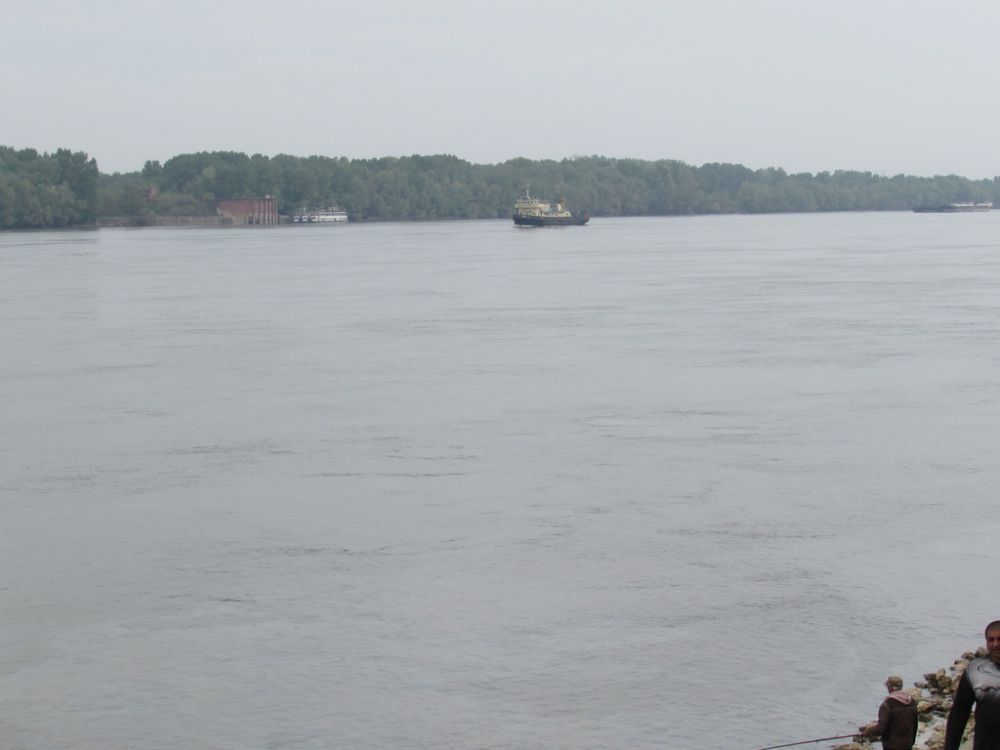 Мазутни петна замърсиха река Дунав край Русе