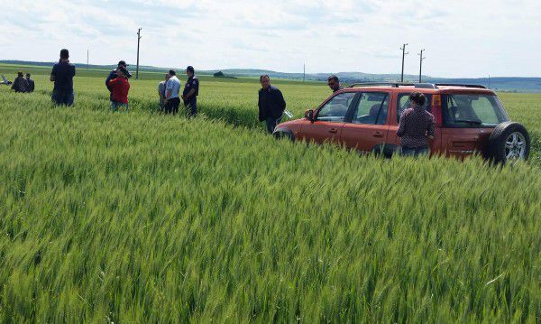 Откриха изчезналото 3-годишно дете в добро състояние 