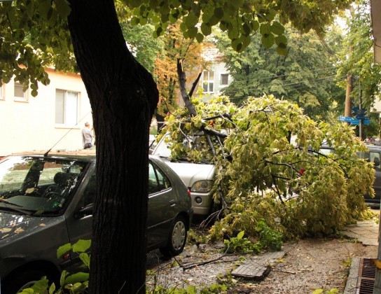 Мощна буря в Русе изкорени дървета и потроши клони