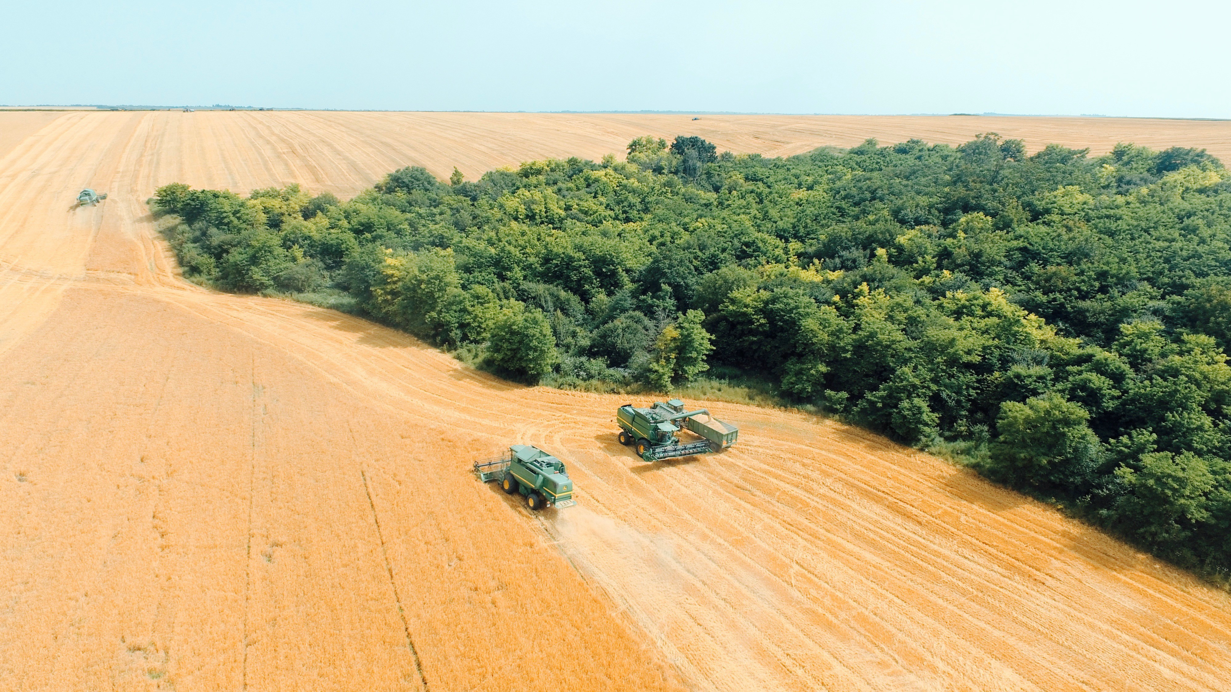 70 на сто от площите с пшеница в Русенско вече са ожънати