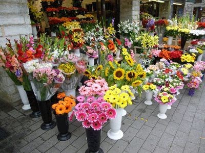 Варненски данъчни запечатаха в Русе 4 обкета на търговци на цветя