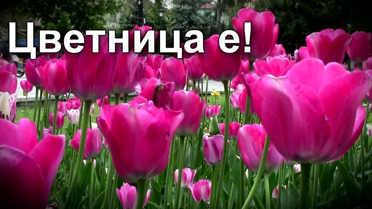 Днес е Цветница!