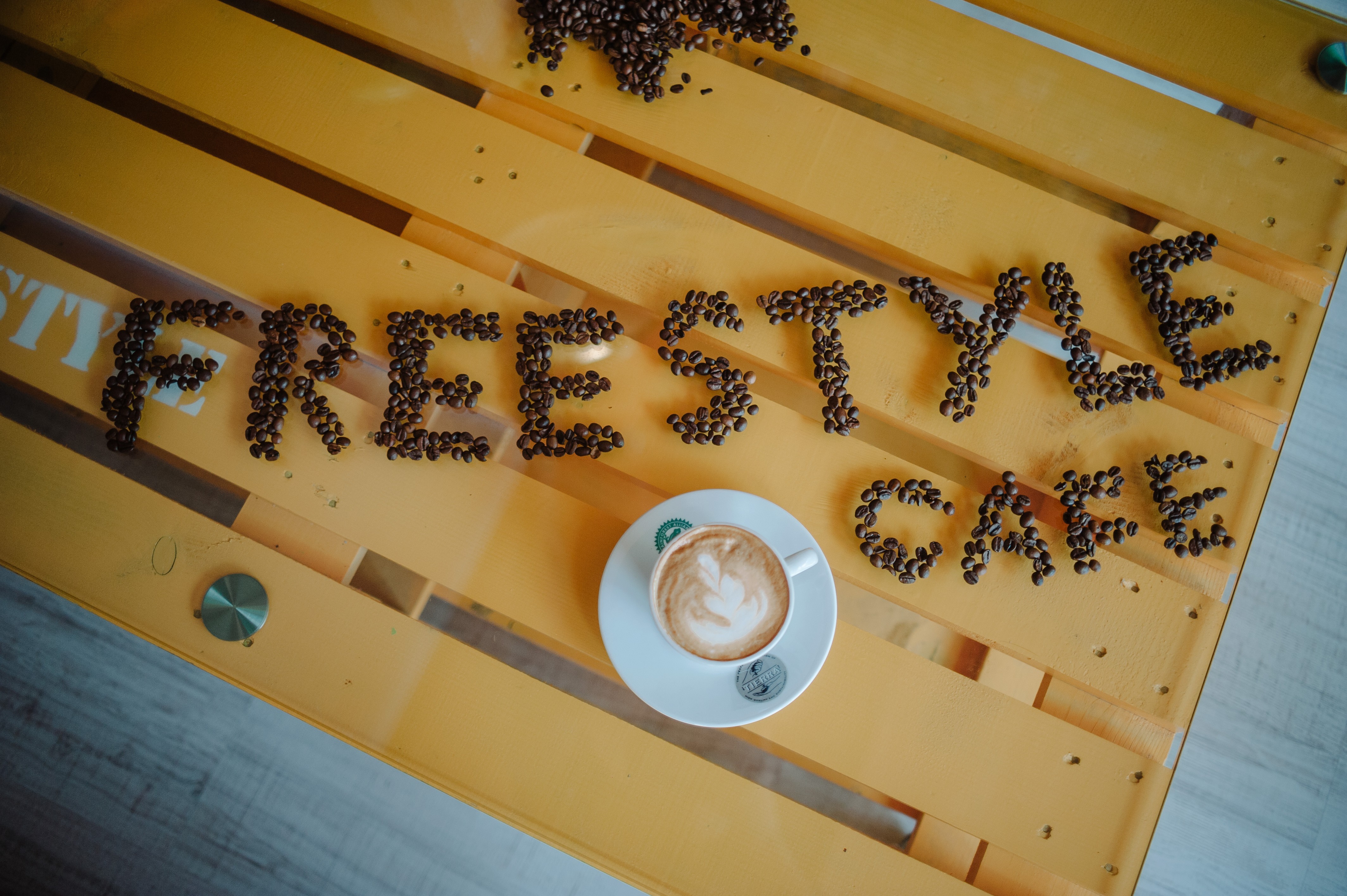 Freestyle cafe-– все повече посетители и  растящ  интерес към първата франчайз марка за кафенета