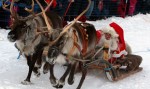  Бум на пазаруването в последния момент 