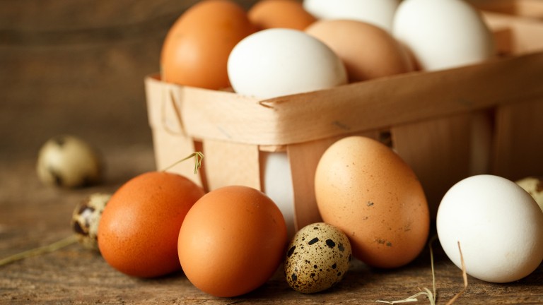 Опасни ли са за здравето яйцата