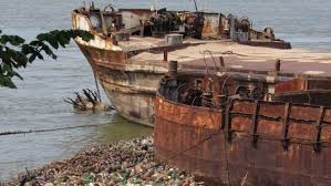 WWF организира почистване на речните брегове край Русе