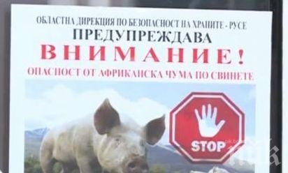    Свиневъдите обсъждат положението с африканската чума утре със земеделския министър   