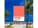 Красив цвят, който зарежда с позитивизъм, споделят от Pantone  