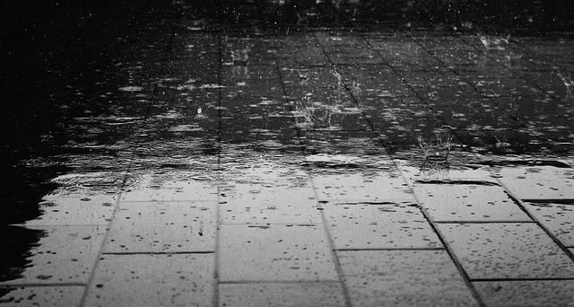 НИМХ: Най-много валежи са регистрирани в Русе, където са отчетени 38 л/кв. м 