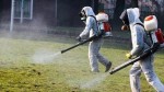 Да се предупредят пчеларите и животновъдите, поиска Борисов