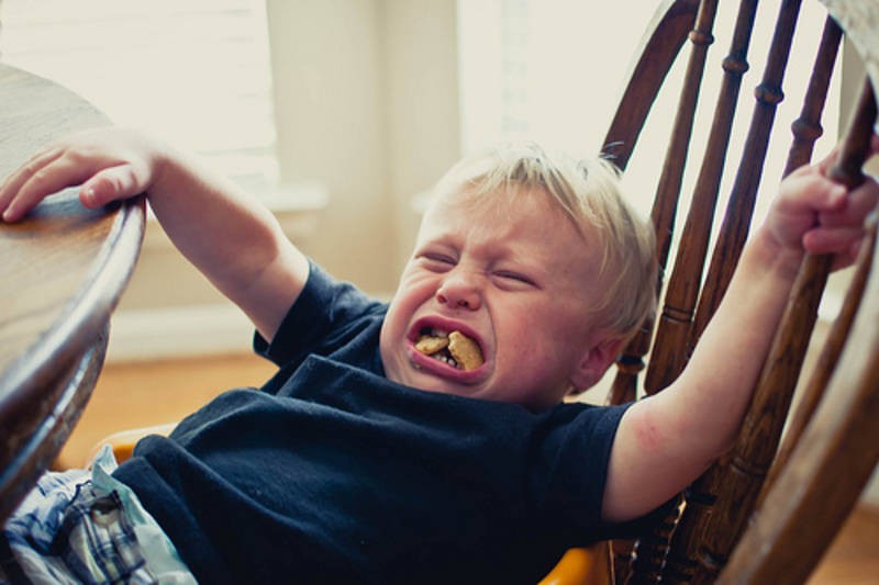  Тръшкането и гневните изблици при малките деца 