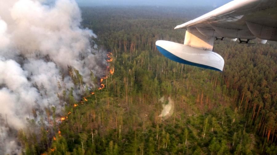 Чудовищен пожар унищожава най-голямата гора на Земята 