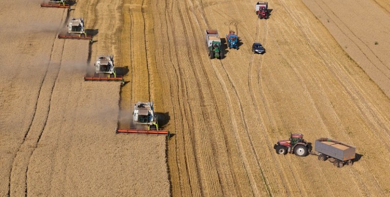 Защо намаляването на заетите в селскостопанския сектор не е притеснителен? 