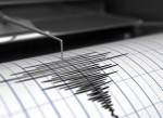 Земетресението е било усетено в  някои части на Североизточна България - Русе, Шумен, Велико Търново.