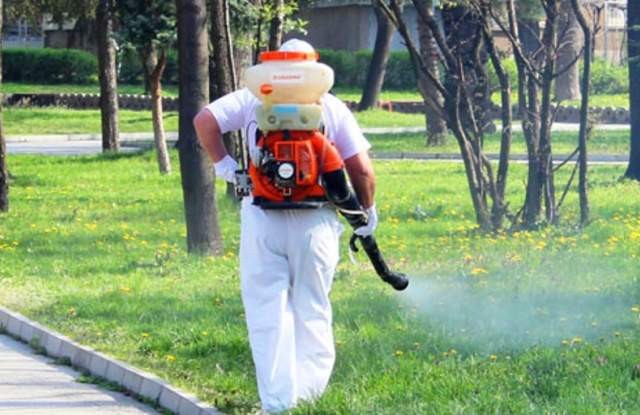 Пръскат Пловдив за комари още през март
