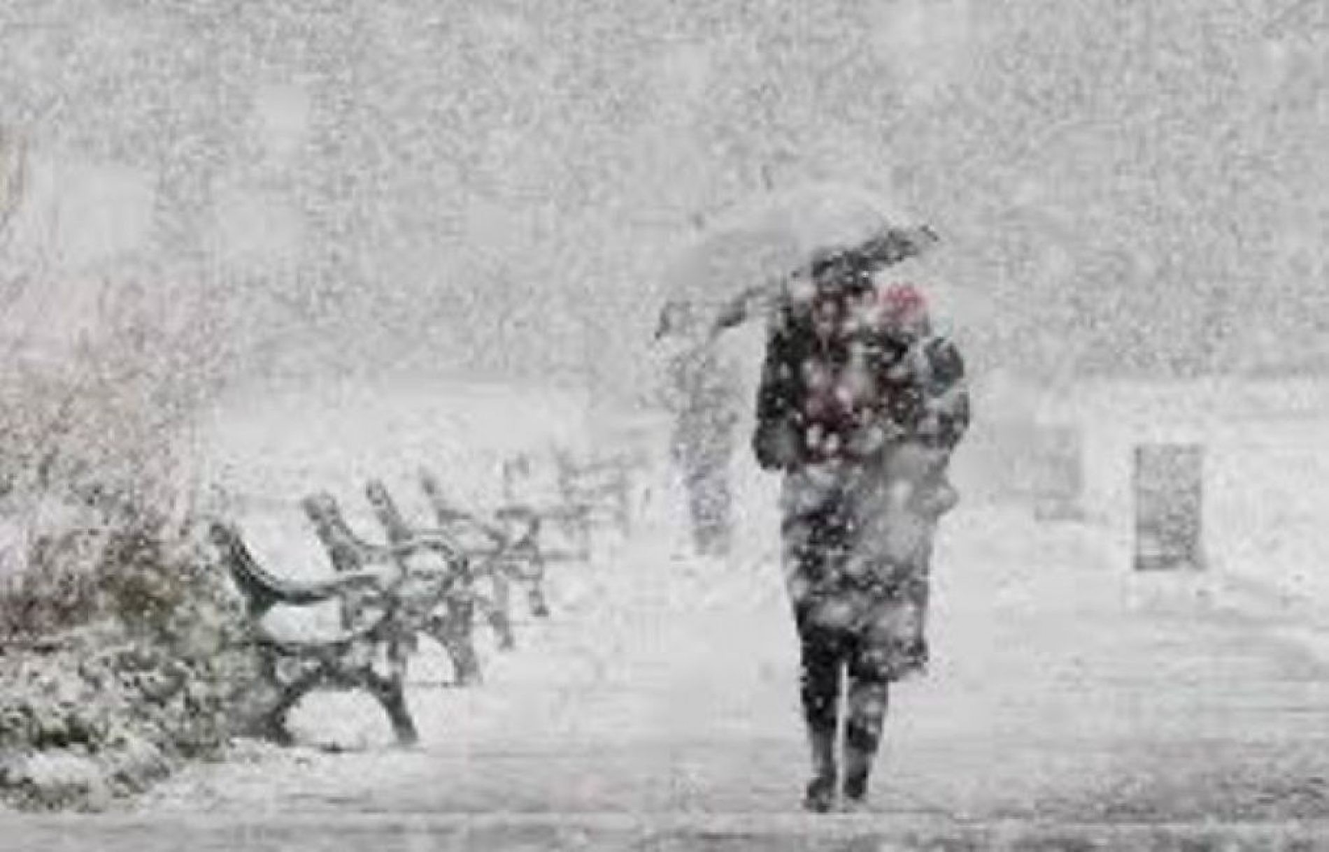 Обявиха жълт код за силен вятър и снеговалеж  за утре в Русе