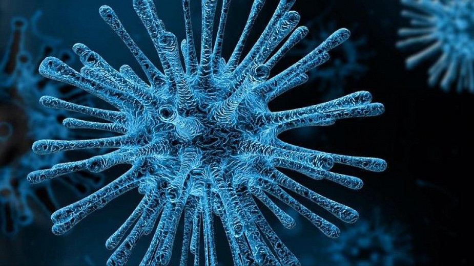 Първи смъртен случай от коронавируса в България