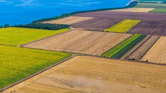 Собствениците на земи над  20 000 дка трябва да бъдат обложени с данък , предлага ВМРО