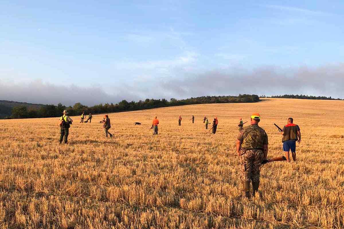 Близо 350 ловци от Русенско излязоха днес на птичи лов