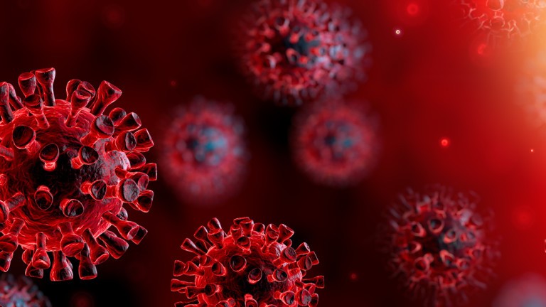 49 нови случая на коронавирус, като 45 от тях са от гр. Русе и по един от Басарбово, Две могили, Кацелово и Щръклево