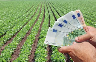  България ще получи 880 млн. евро по програмата за селските райони и ще продължи директните плащания и националните помощи