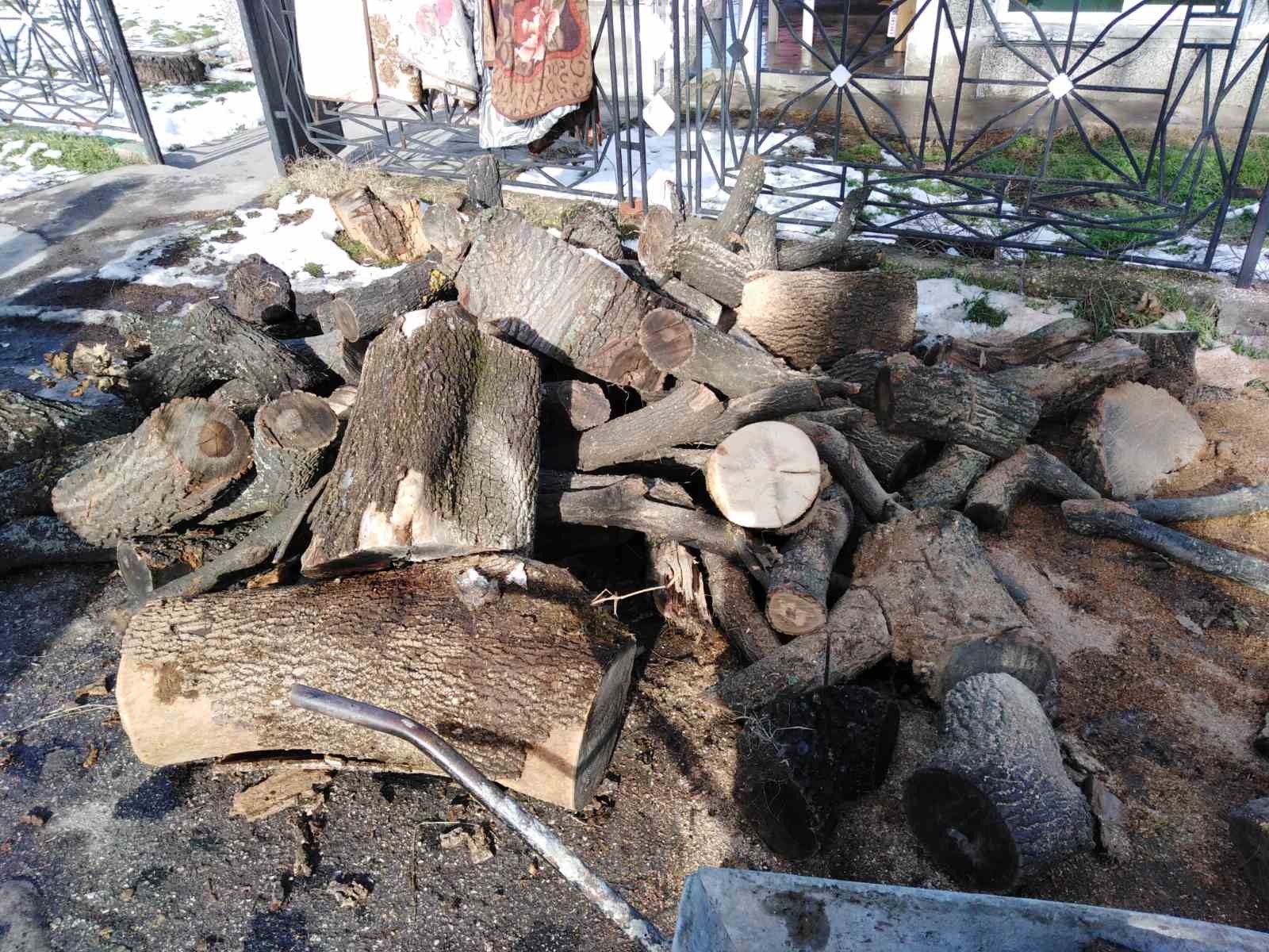 16 акта за съхранение на дървесина без документи съставиха служителите от РДГ – Русе