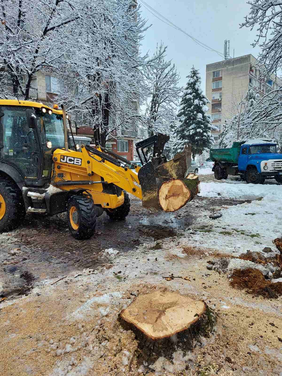 Над 50 нерегламентирани сметища са почистили служителите на ОП 