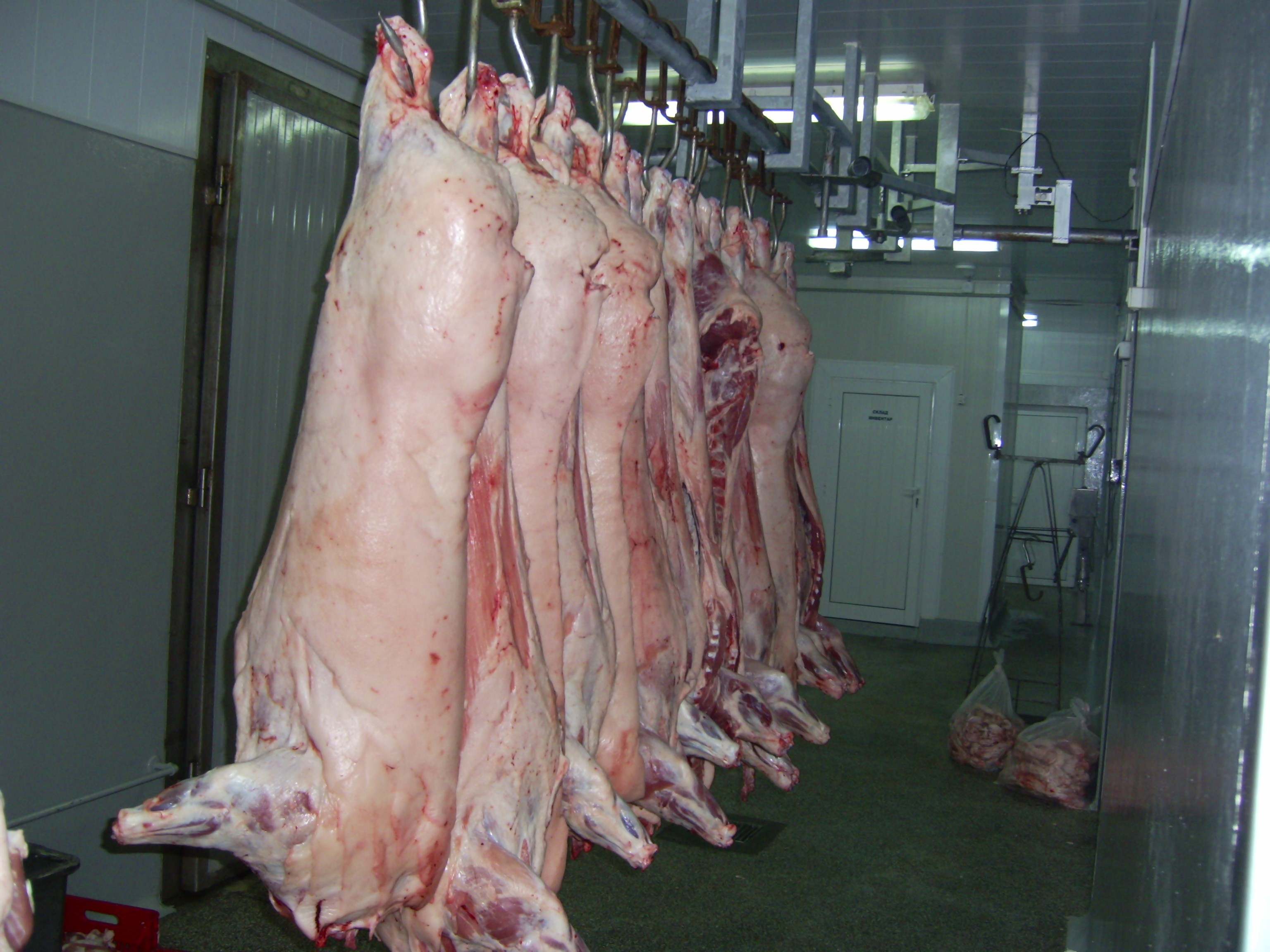  Цените на свинското у нас са сред най-високите в Евросъюза  
