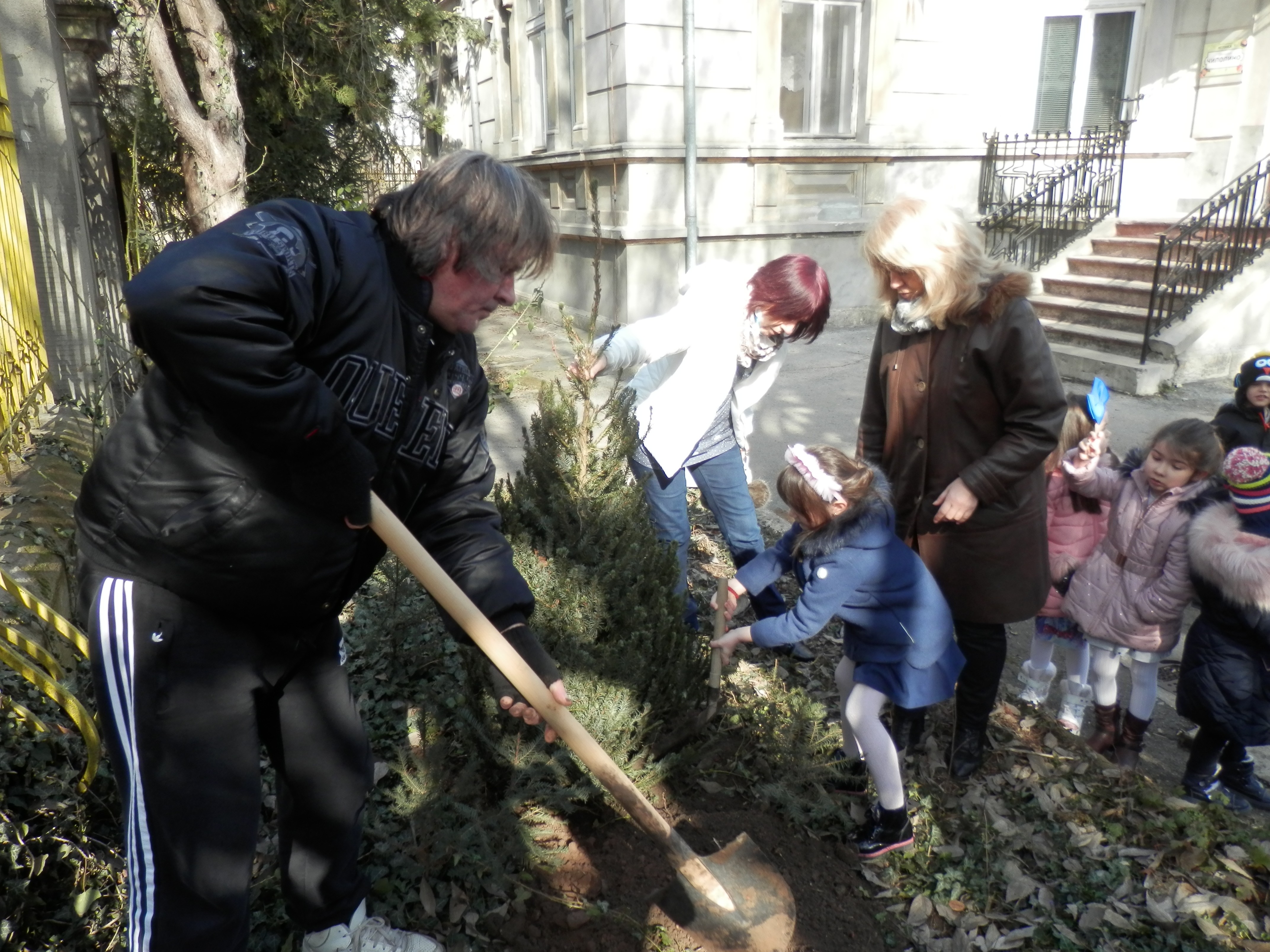 Деца от русенската детска градина “Иглика” засадиха два бора в двора й