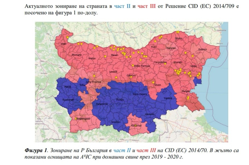Анализ на ситуацията по отношение на Африканската чума по свинете в България от началото на 2020 г. до момента