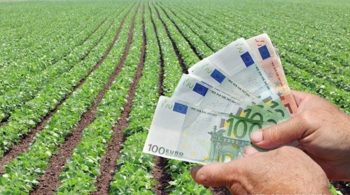 Българските гиганти в земеделските субсидии 