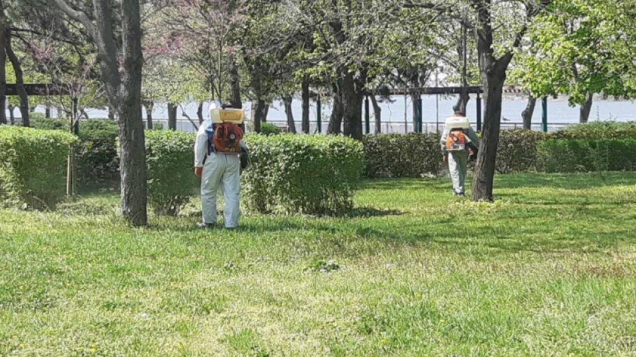 Започва пръскането срещу кърлежи и комари в населените места от Община Русе