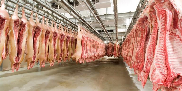 Всички индустриални свинекомплекси в България вече могат свободно да изнасят свинско месо за ЕС