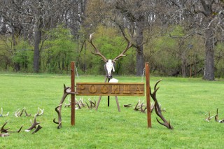Най-тежките рога на изложбата бяха представени от Държавно ловно стопанство 