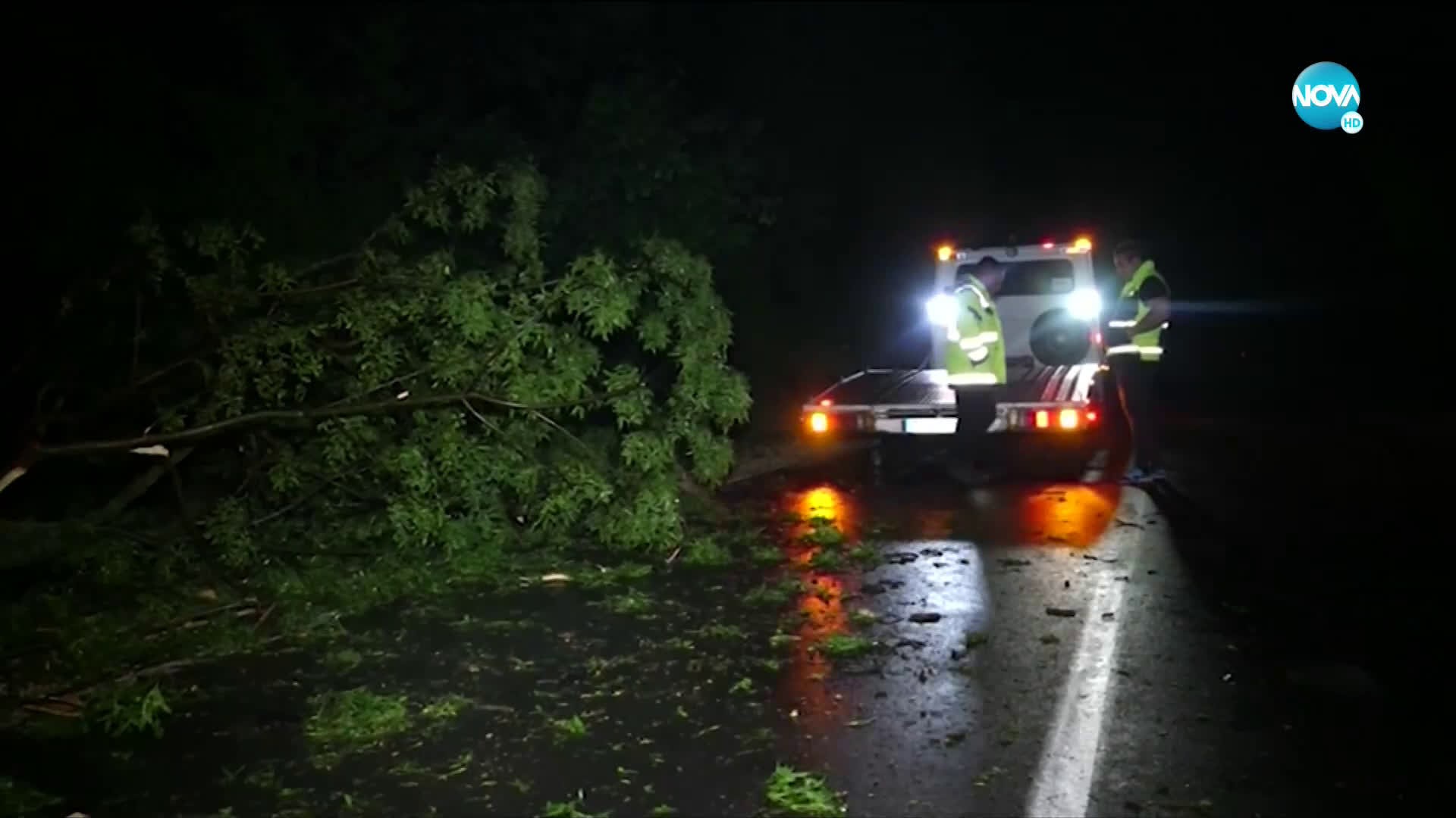 Среднощна буря в Русе, паднали дървета предизвикаха катастрофи 